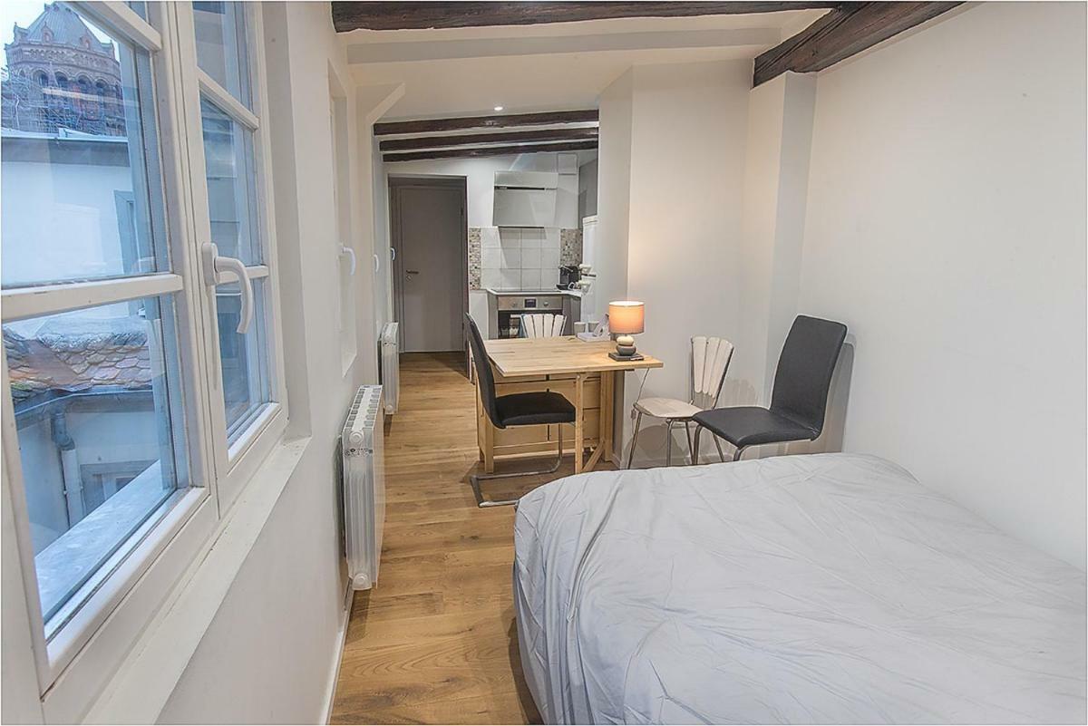 L'Oeil Sur La Fleche Apartment สตราสบูร์ก ภายนอก รูปภาพ